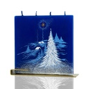 Christmas Night with a star