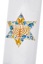 Star of David with Menorah